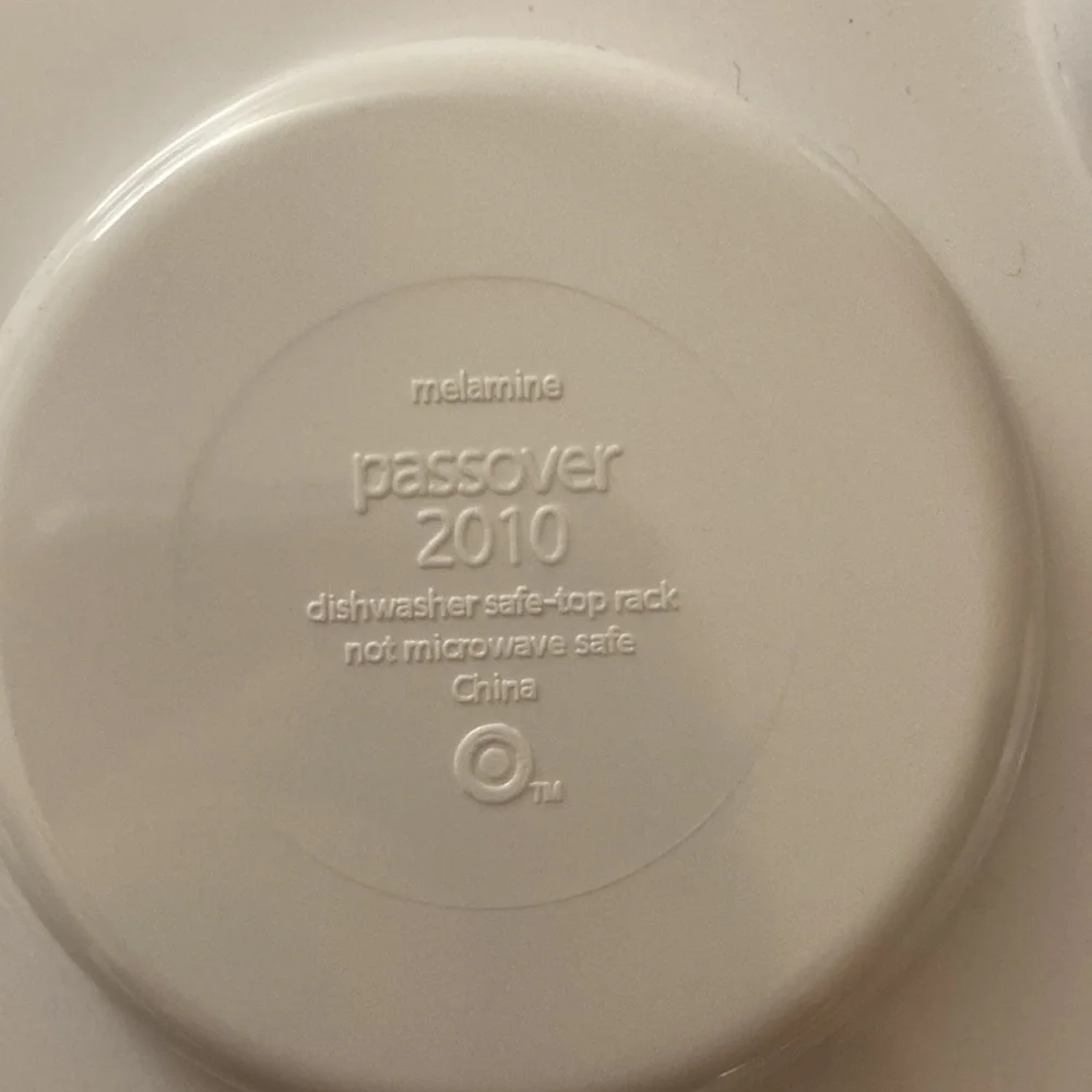 Target 2010 Melamine children’s Passover Plate